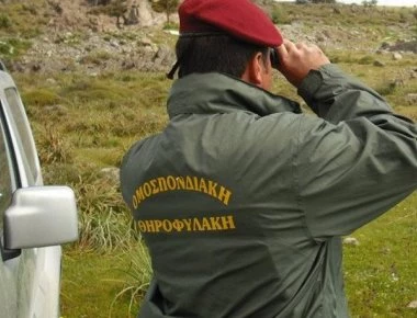Θηροφύλακας της Κυνηγετικής Ομοσπονδίας Πελοποννήσου θύμα βίαιων επιθέσεων